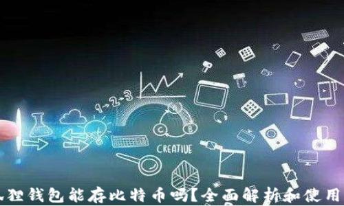 
小狐狸钱包能存比特币吗？全面解析和使用指南