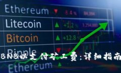 如何使用TP充值BNB以支付矿工费：详细指南与常见